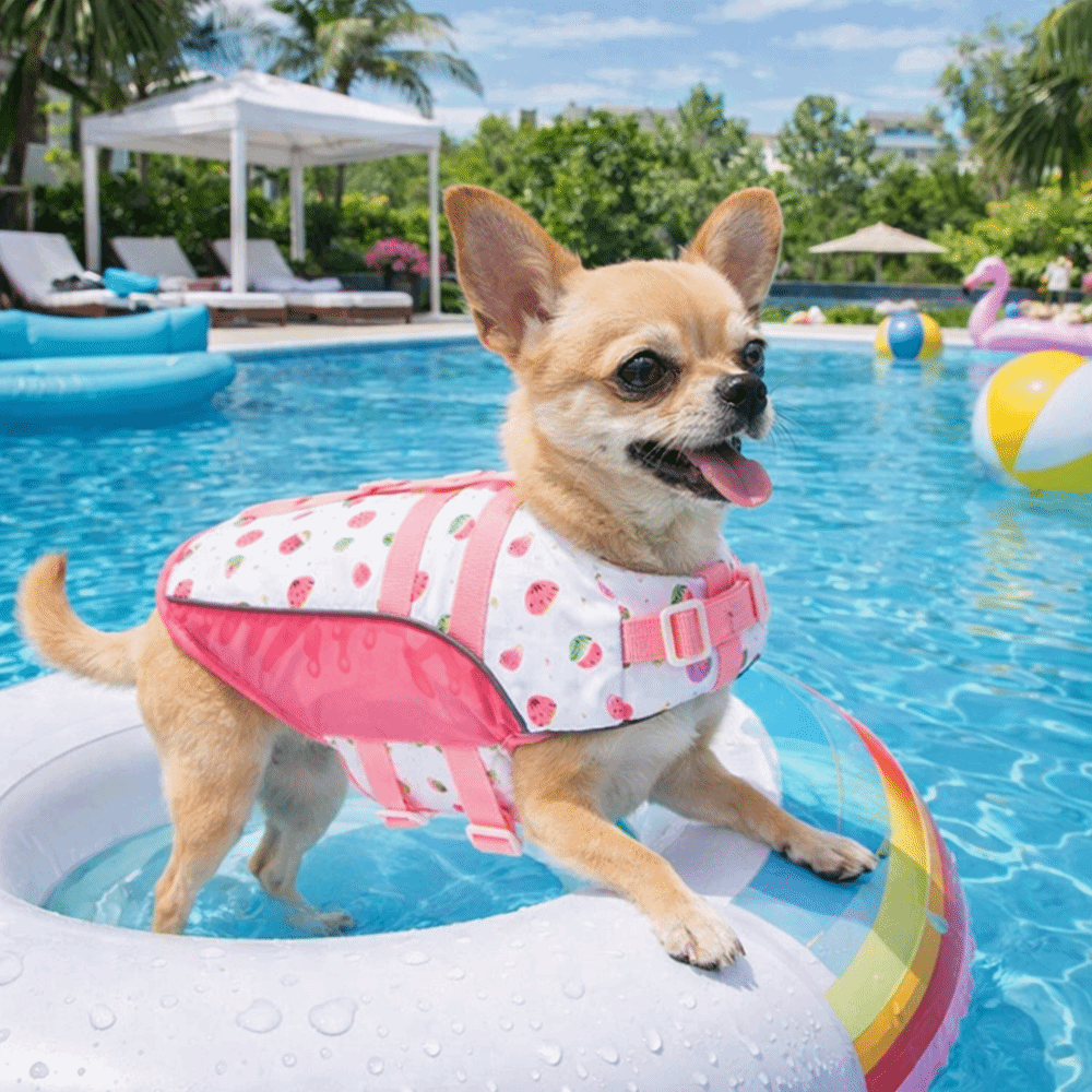 Life Jacket Buoyancy - Verstellbare Hunde-Schwimmweste mit Hoher Auftriebskraft, Wasserdichte