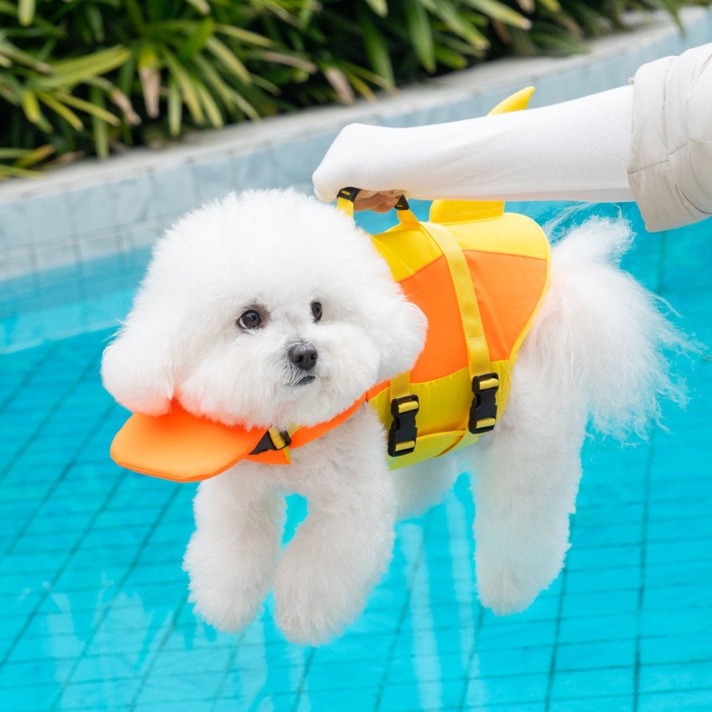 Shark Dog Schwimmweste für Hau – Life Jacket Buoyancy Bewertung und Preis