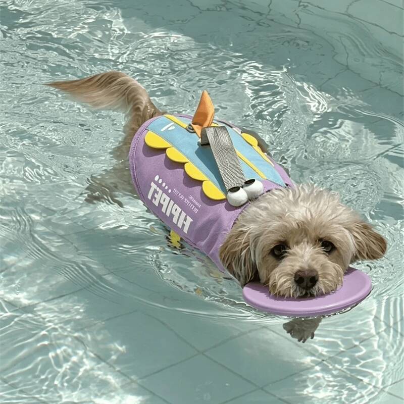Hundeschwimmweste in niedliche – Life Jacket Buoyancy Bewertung und Preis