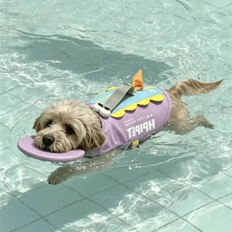 Hundeschwimmweste in niedliche – Life Jacket Buoyancy Bewertung und Preis